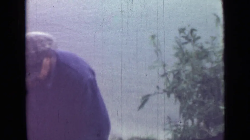 The final frame shows the man partly cropped as he bends beside a leafy plant, with soft 8mm color and vertical film wear visible.