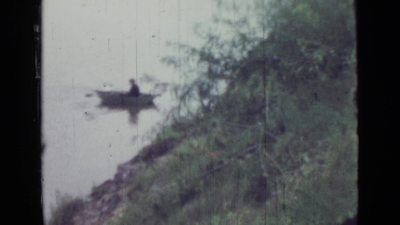 Lone rower in a small boat near overhanging trees and a sloped bank.