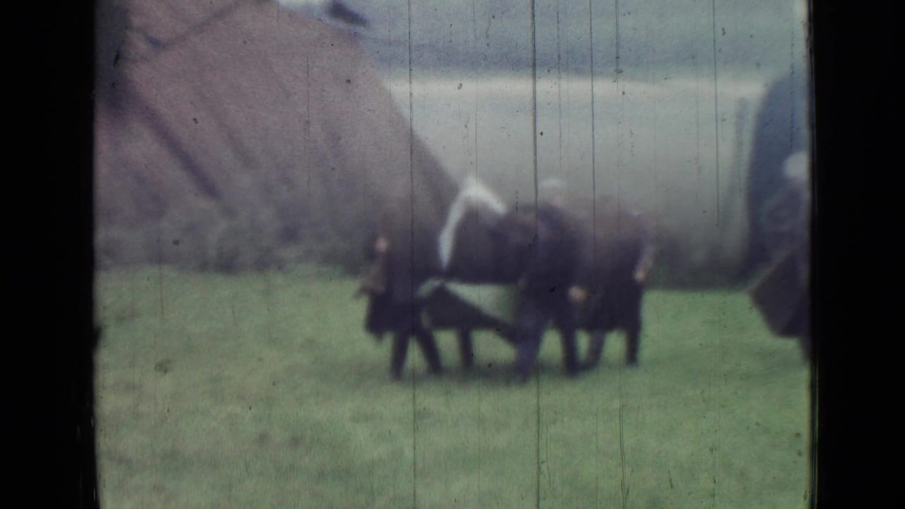 Distant adults in dark clothing stand around a stretcher on a grassy field.