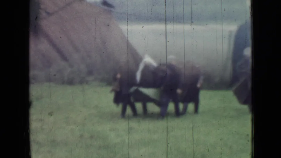 1967 Saint Petersburg home-movie frame showing adults around a stretcher-like carrier in a grassy field with trees behind them.