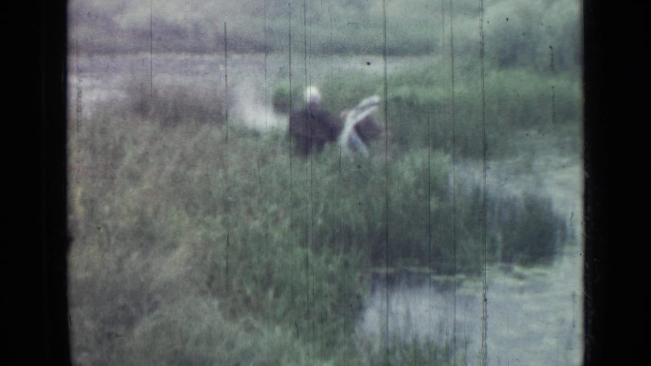 Adults in rain gear are partly hidden by wetland reeds beside a narrow area of water in faded 8mm color.