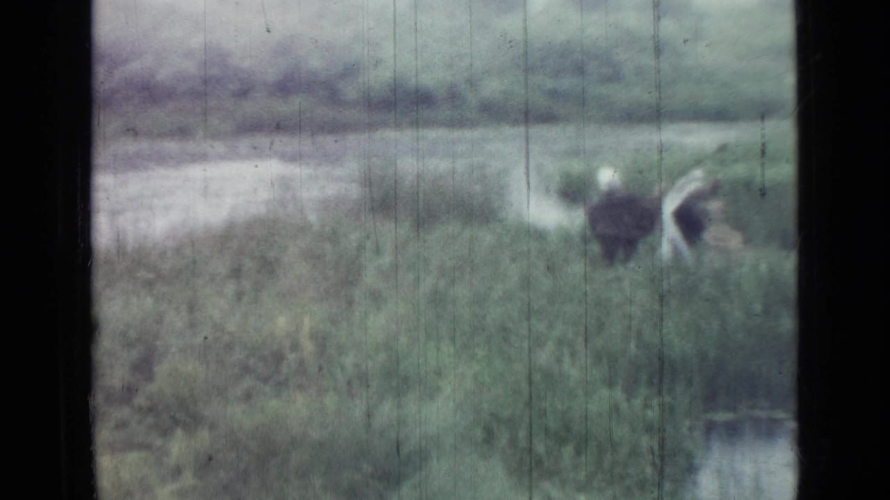 Soft 8mm view of bundled people among tall grass near water in 1967 Saint Petersburg, with visible grain and vertical wear marks.