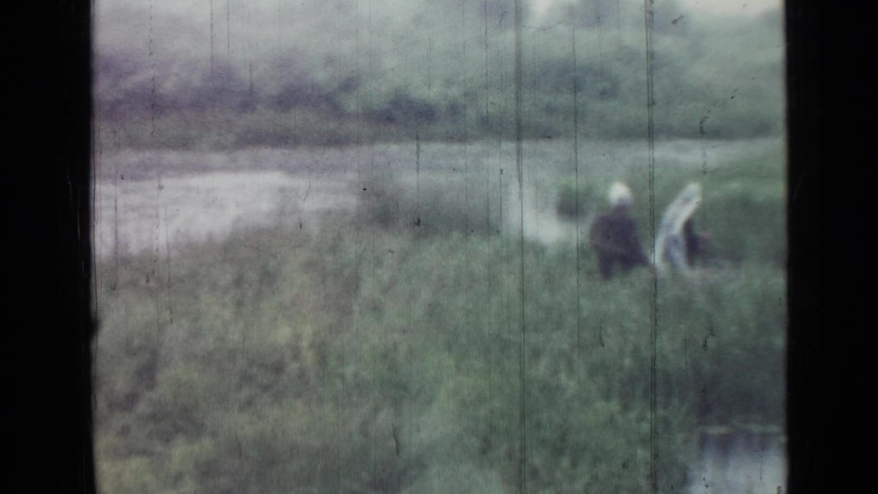 Distant 1967 Saint Petersburg lakeside frame showing two adults near reeds, one appearing to bend toward the shoreline.
