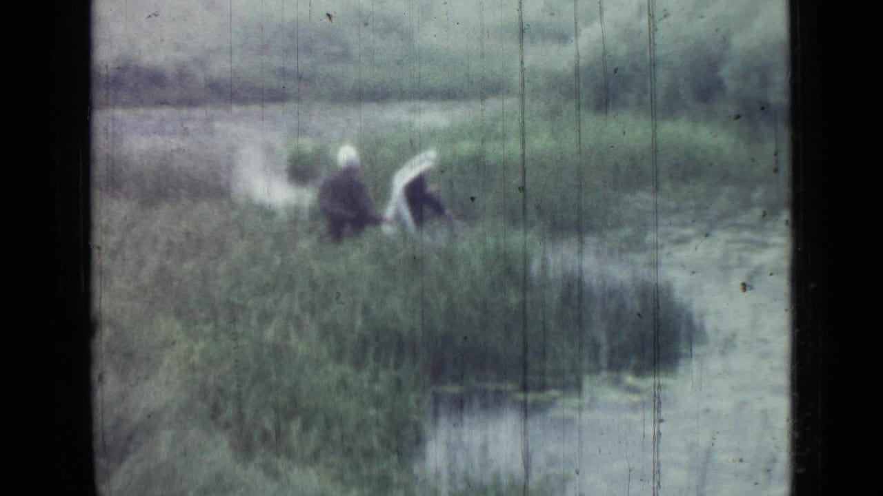 Soft 8mm frame from Saint Petersburg in 1967 showing two adults among lakeside reeds, with water visible at the lower right.
