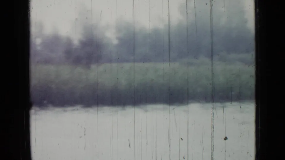 A muted lakeside view in Saint Petersburg, 1967, with water, grass and trees divided by a dark window frame and aged 8mm scratches.