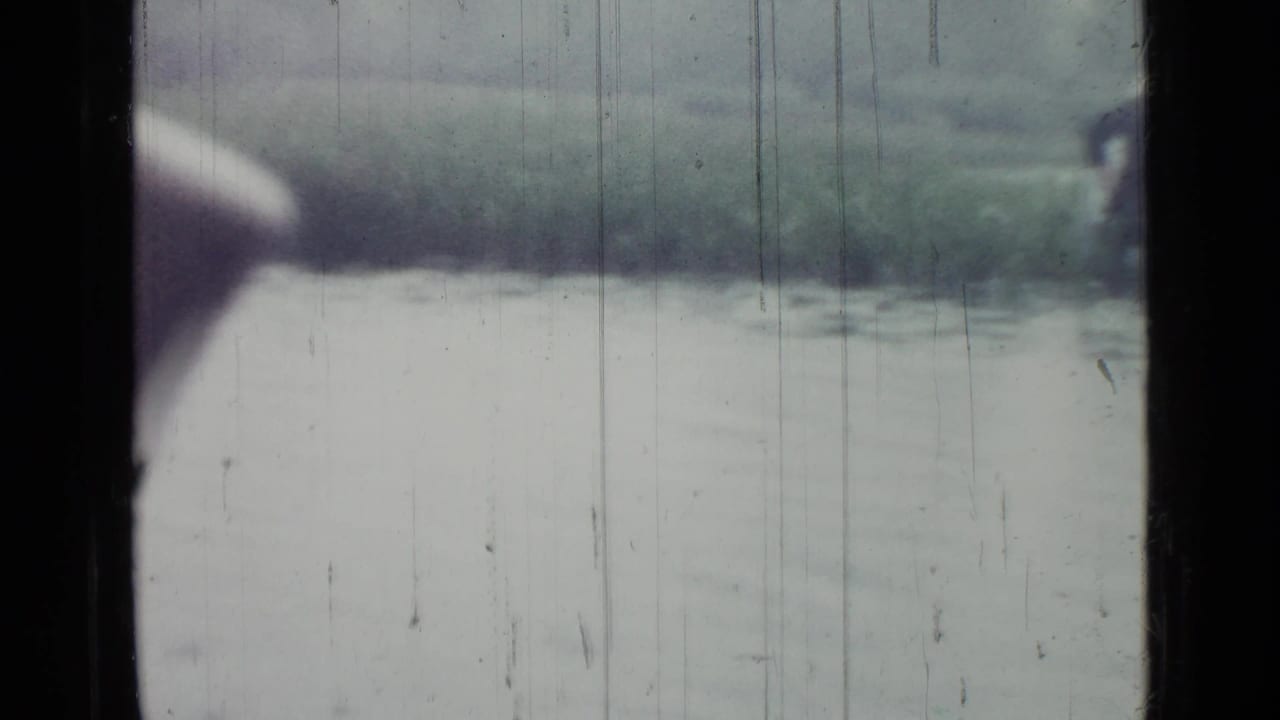 Obstructed view of pale swamp water and reeds with dark vertical bars in the foreground.