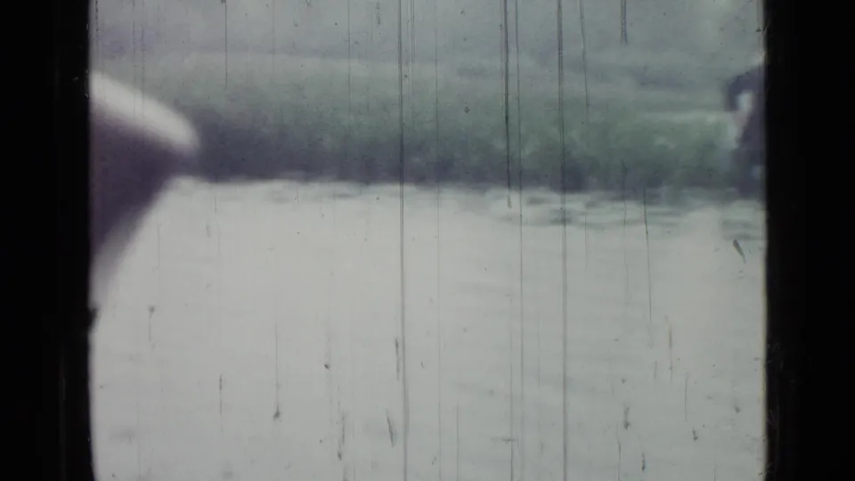 1967 Saint Petersburg home-movie frame showing marsh water and reeds viewed through dark vertical window or screen bars.