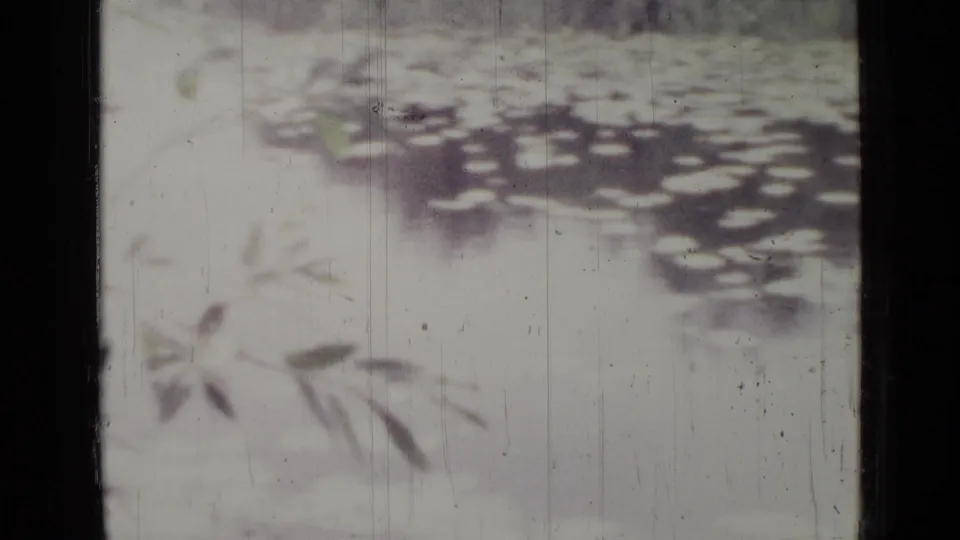 1967 8mm frame with pale dappled foliage, leaf shapes, dark borders, scratches, and overexposed home-movie texture.