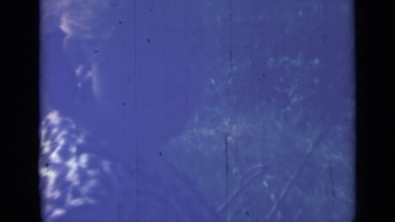 Blue-shifted 8mm frame with a partially visible person and vegetation during the outdoor camp cooking scene.