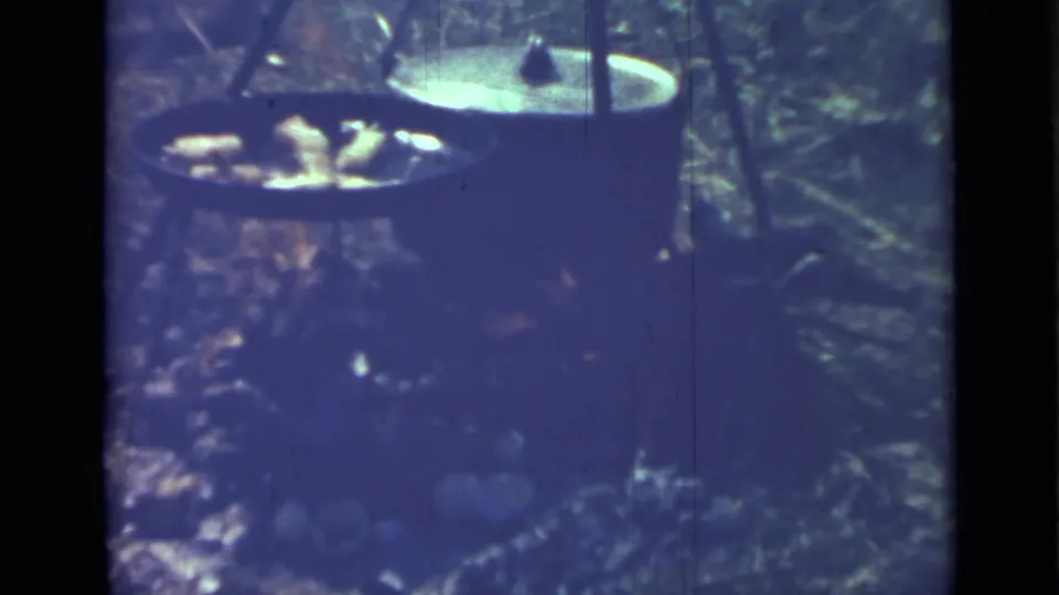 1967 camping footage near Saint Petersburg shows pans and a pot over an outdoor fire, with food cooking in a wooded or grassy area.