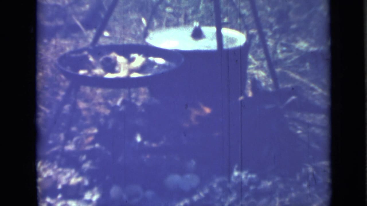 Two pots and a pan are arranged above a small open fire outdoors.