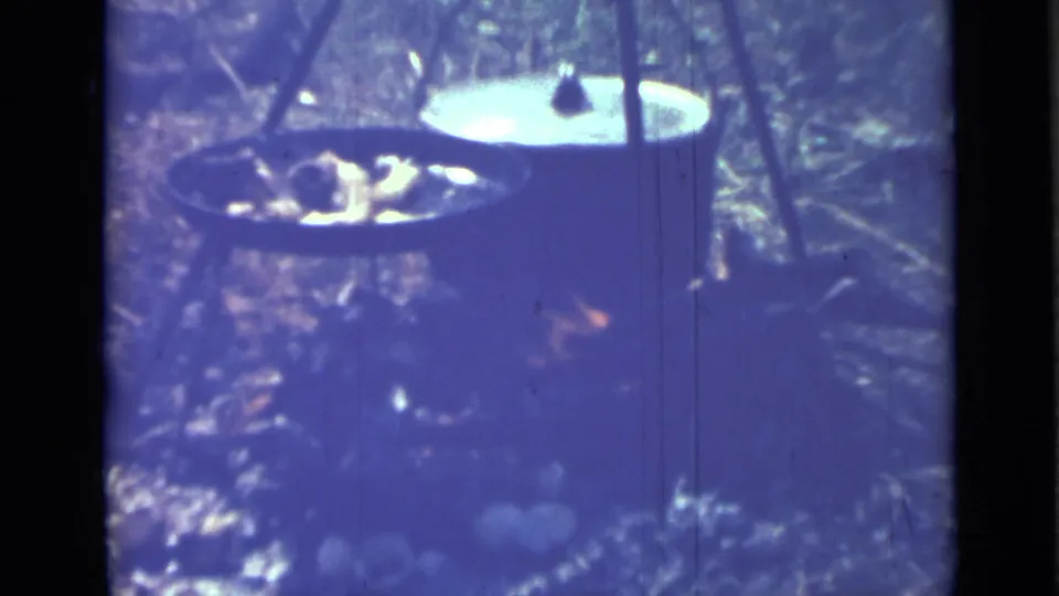 Outdoor cooking in 1967 Saint Petersburg, with cast iron cookware, fire glow, and rough vegetation seen through soft 8mm exposure.
