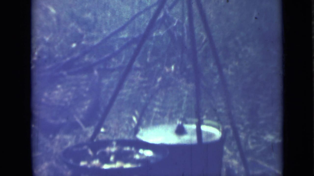 Tripod cookware over an outdoor fire area among branches and leaf litter.