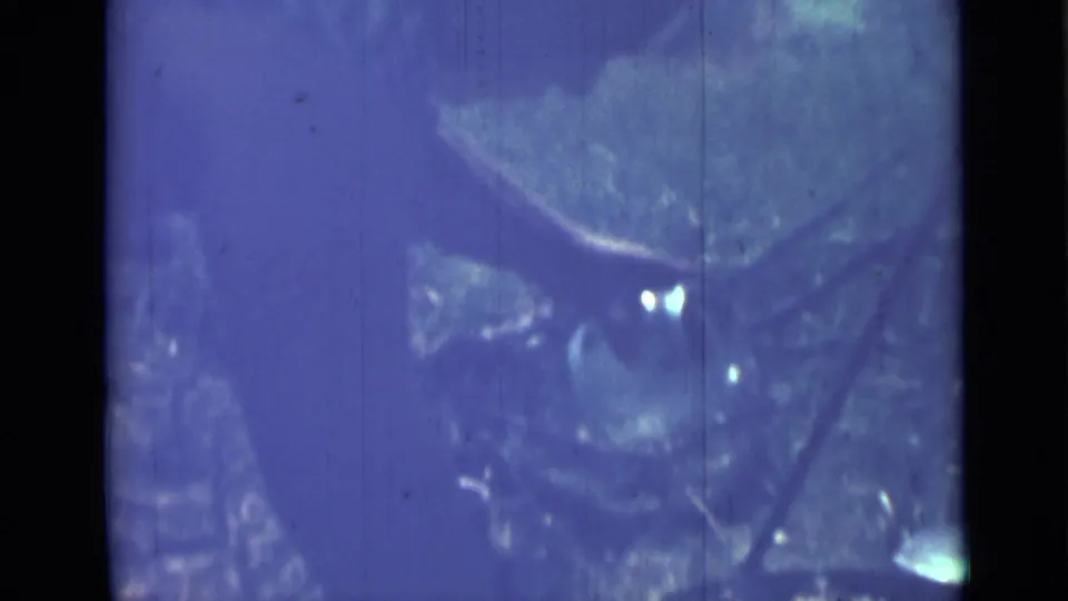 Blue-tinted 8mm frame from the 1967 Saint Petersburg clip with branches and dark camp cookware partly visible.