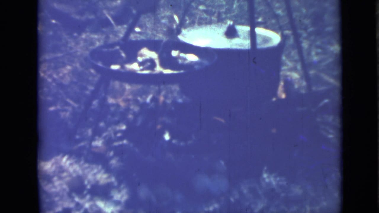Cooking pots and a small outdoor fire area on wooded ground.