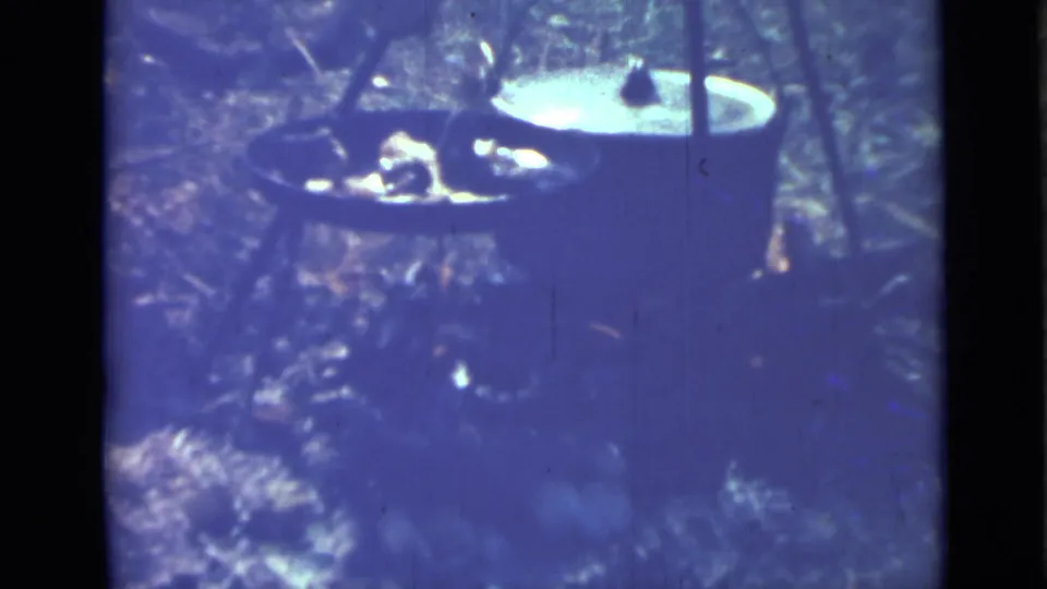 1967 8mm home-movie frame from Saint Petersburg showing outdoor cooking pots near a small fire area on leaf-covered ground.