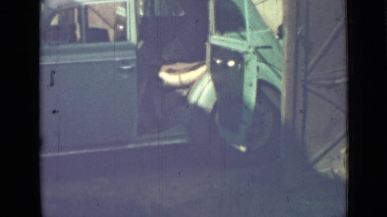 Blue van with an open rear door and a pale bundle near the doorway.