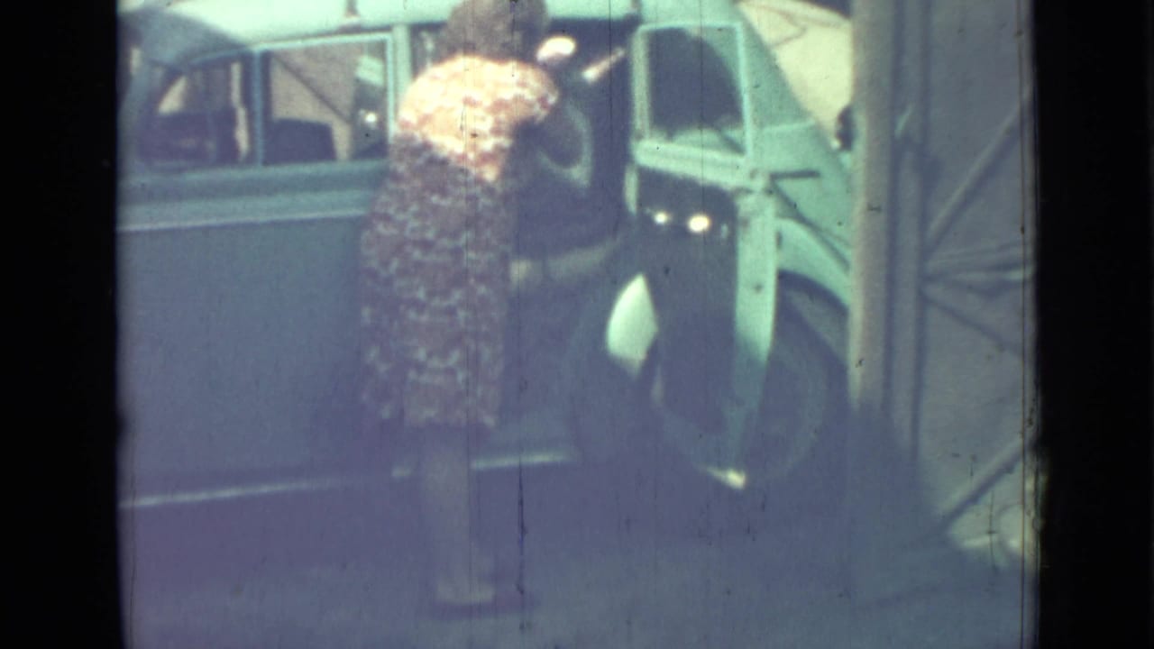 Woman in a patterned dress leaning into an open blue sedan door.