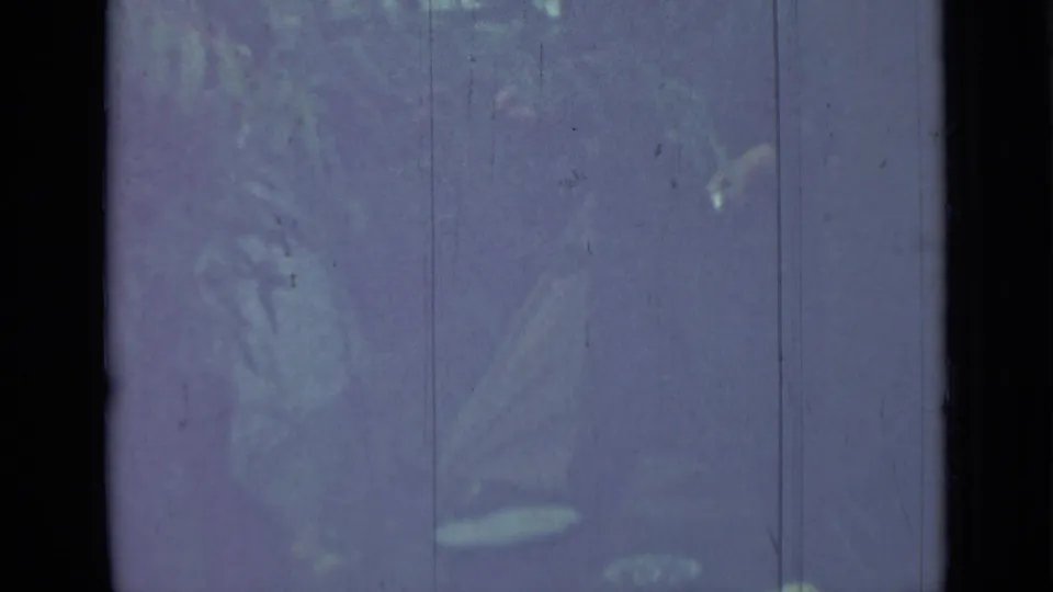 Faded 1967 home-movie frame with very low-contrast traces of the parked car and surrounding lot under blue-purple film shift.