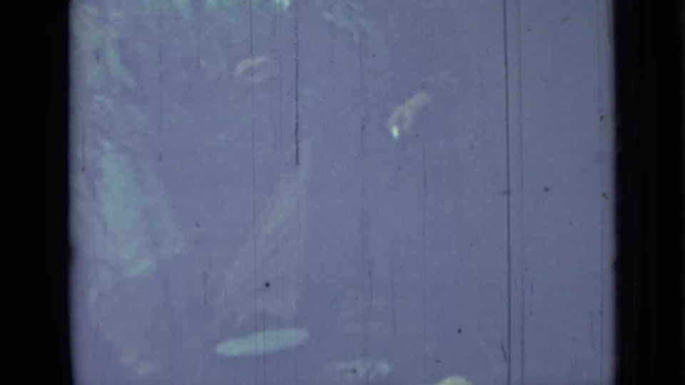 Low-contrast 1967 Saint Petersburg home-movie frame with faint parked-car outlines, vertical scratches, and blue-purple color shift.