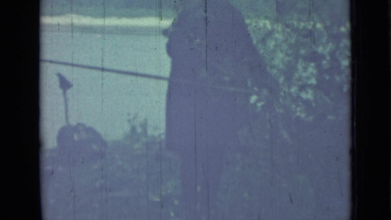 Silhouetted person near overgrown garden shrubs under a pale sky.
