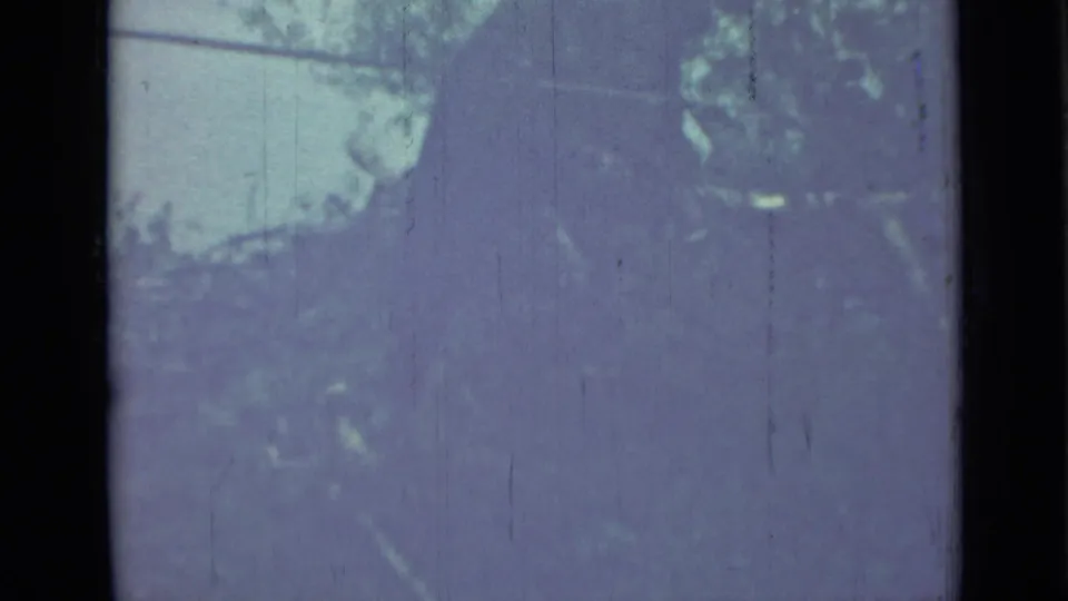 The final frame shows the person beside dense foliage, with a possible garden tool visible against the pale background.