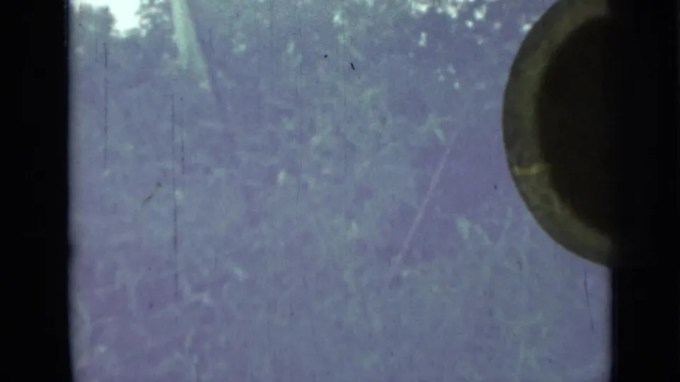 1967 8mm frame from Saint Petersburg metadata showing soft tree canopy, pale sky, and dark vertical film edges.