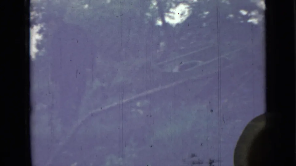 Final 1967 Saint Petersburg metadata frame showing faint wooded vegetation, slanted branches, film scratches, and a dark rounded edge at lower right.