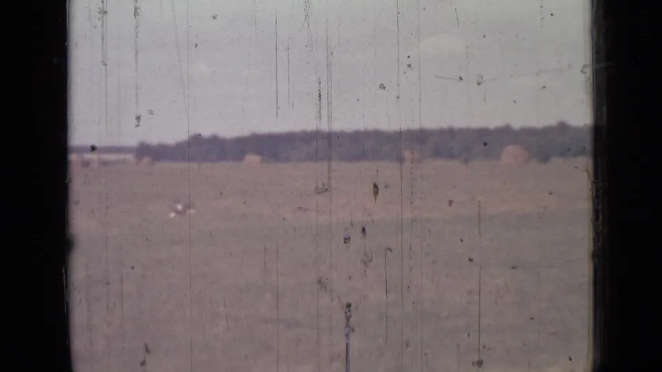 1967 8mm landscape frame from the Saint Petersburg metadata, with open field, distant treeline, and a small bird crossing low in view.
