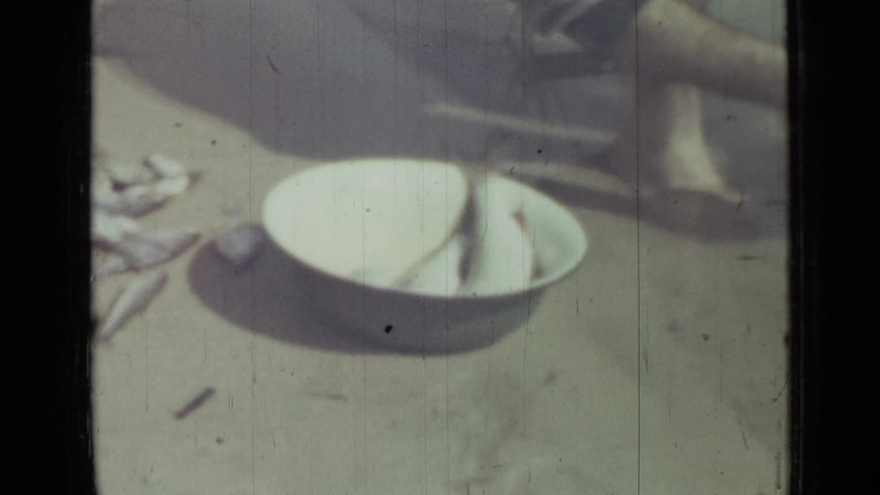 White bowl and scattered fish on sandy beach with a person partly visible nearby.