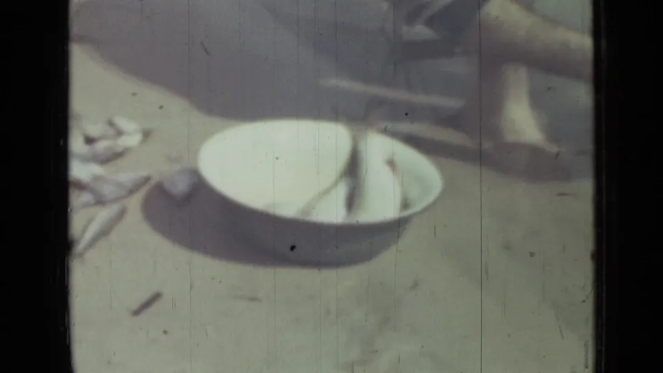 1967 Saint Petersburg home-movie frame showing a white bowl, fish on sand, and part of a beachgoer near the shoreline.