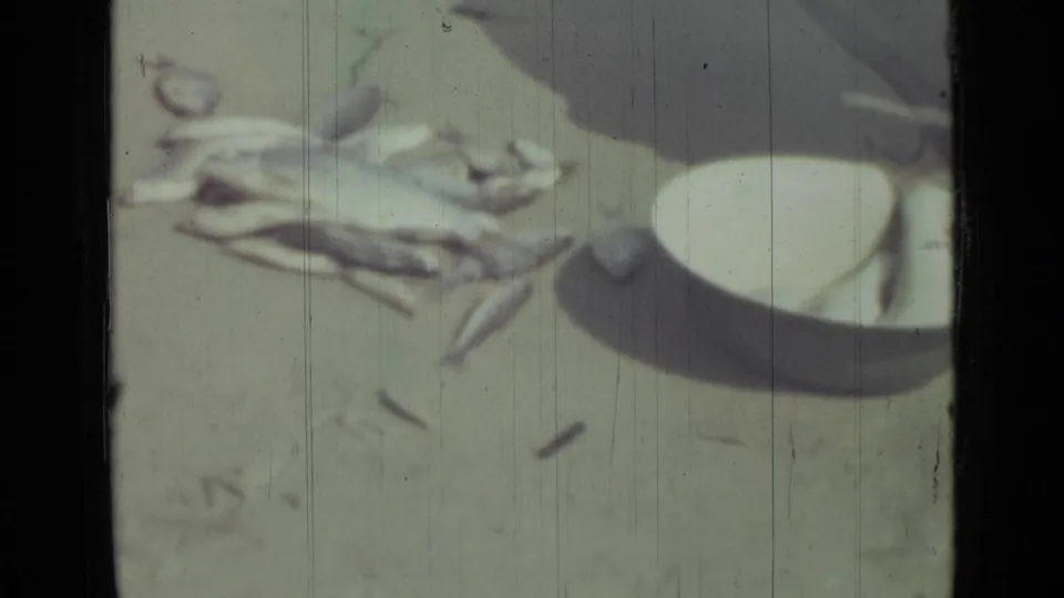 Home-movie view of fish and a white bowl on a sandy beach, with faded color and vertical film wear.