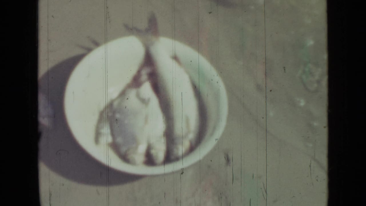 Small fish lying in a white bowl on sand with strong shadow and 8mm film scratches.