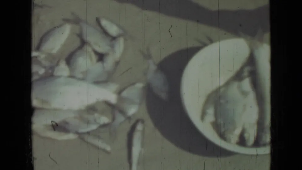 1967 Saint Petersburg home-movie frame with small fish scattered on sandy ground next to a partly visible white bowl.
