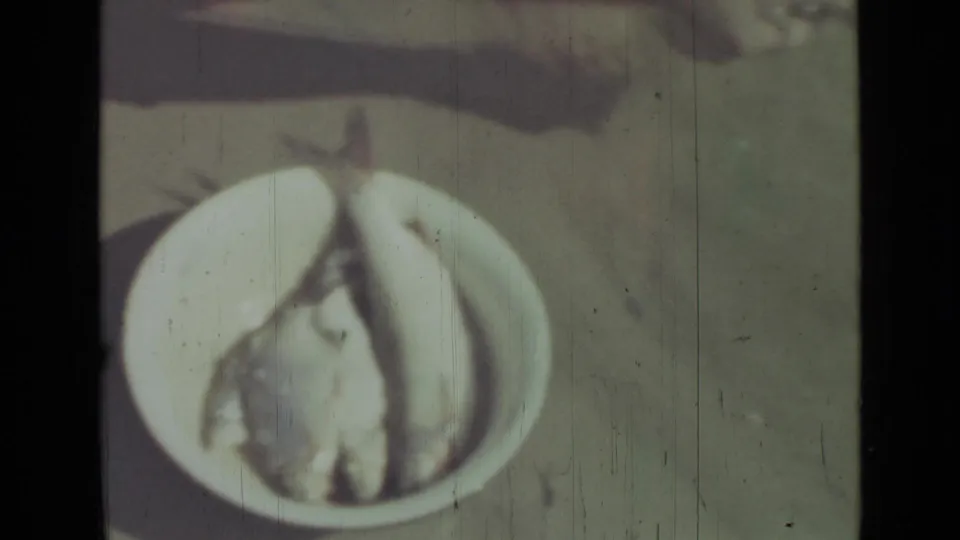 Close-up 1967 Saint Petersburg home-movie view of small fish in a white bowl, with sandy ground and aged 8mm texture.