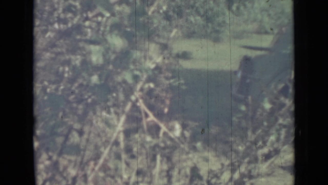 Soft green foliage and branches seen behind dark vertical frame bars.