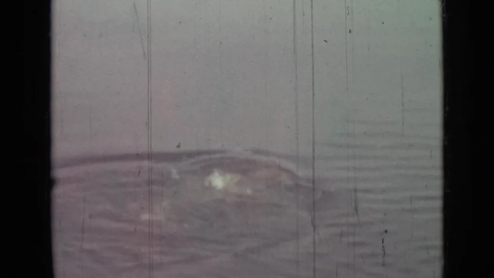 Only a low splash and circular ripples remain visible on the water surface near the end of the 8mm shot.