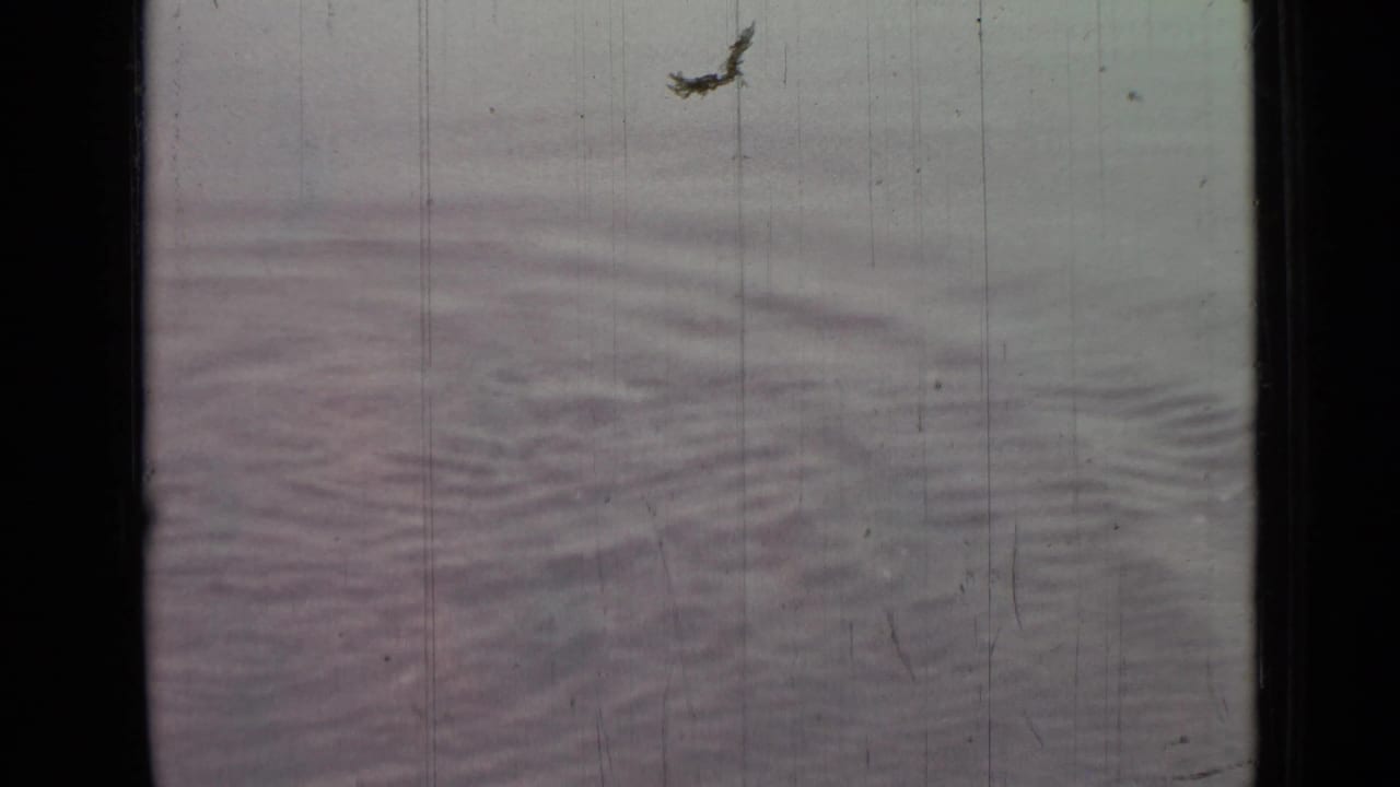 Soft ripples across pale water with dark film borders and visible scratches.