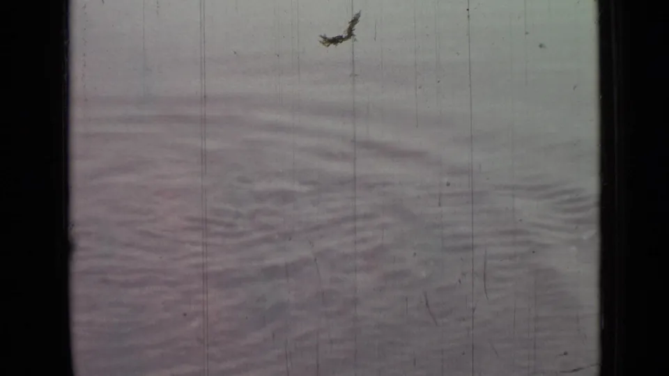 1967 Saint Petersburg 8mm frame showing calm rippling water with faded color, dust, scratches, and dark gate edges.
