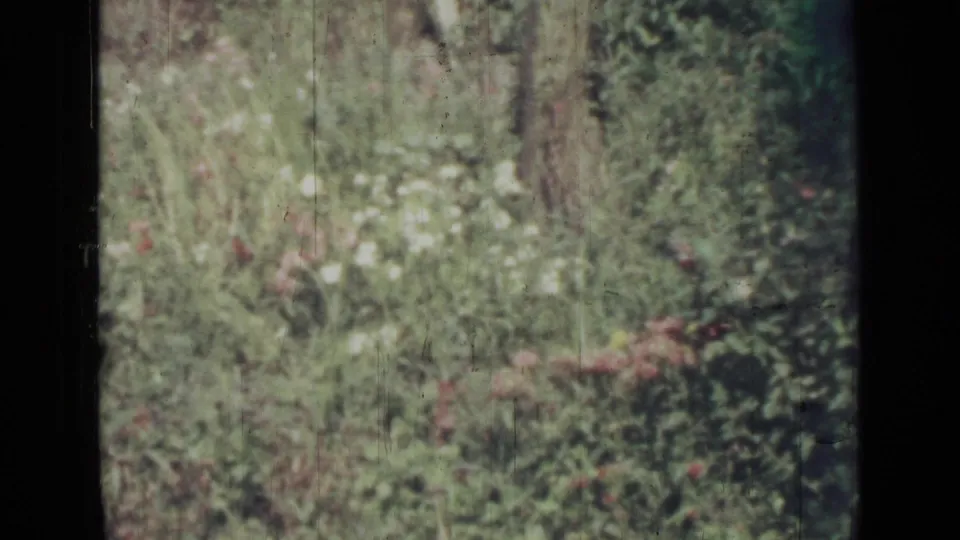 1967 Saint Petersburg 8mm frame showing white flowers, red rose blooms, and layered green foliage in a garden bed.