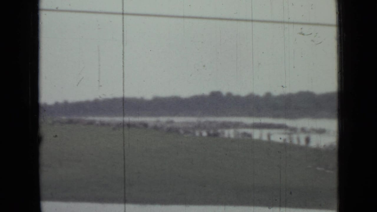 Distant lake shoreline seen through dark window bars with grass, water, treeline, and faint overhead wires.