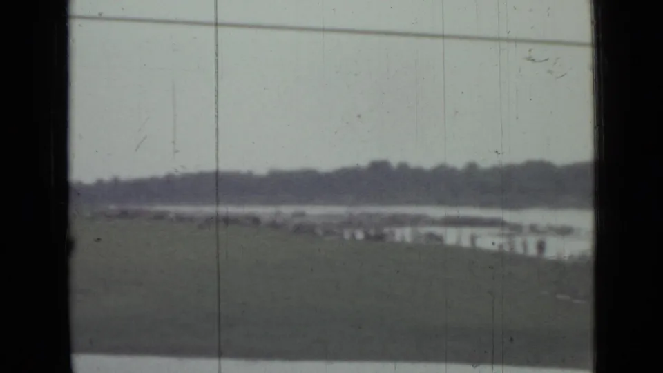 1967 8mm view near Saint Petersburg showing a grassy lakeside bank, distant treeline, faint wires, and dark vehicle window framing.