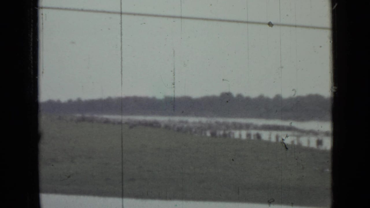 1967 8mm lakeside scene near Saint Petersburg with distant people along the water, a grassy bank, treeline, and window-frame edges.