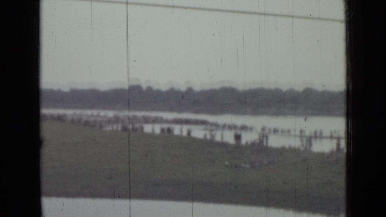 1967 8mm Saint Petersburg lakeside footage showing distant shoreline visitors, water, grass, treeline, and vehicle-window framing.