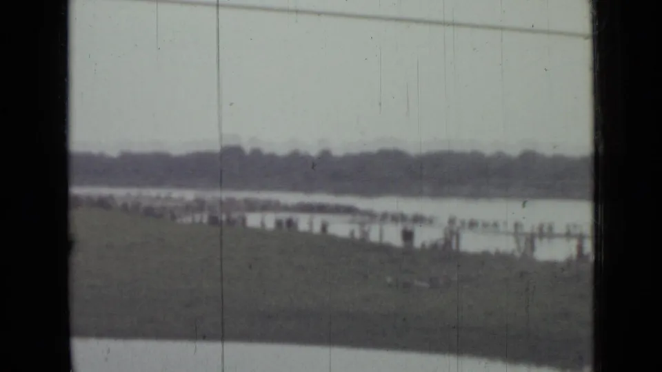 1967 8mm Saint Petersburg lakeside footage showing distant shoreline visitors, water, grass, treeline, and vehicle-window framing.