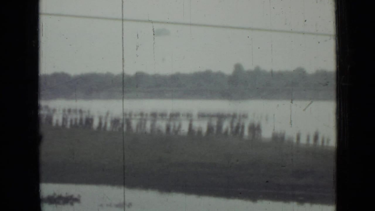 Distant spectators gather on a grassy waterfront in Saint Petersburg, Russia, with water and a tree-lined far shore visible through 8mm film wear.