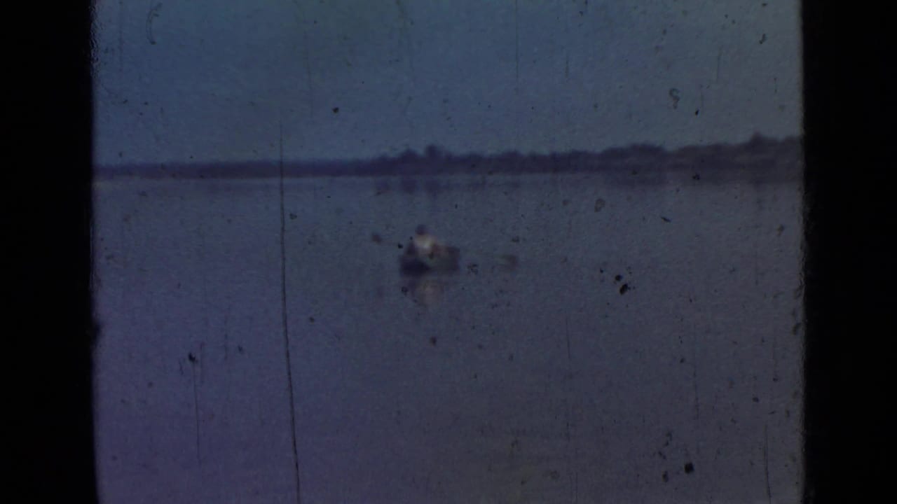 A small rowboat sits far out on calm water near a low shoreline.