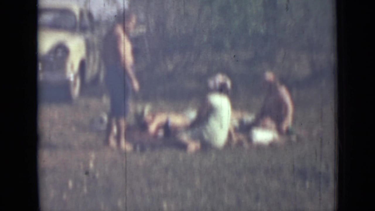 Group relaxing on grass near a light-colored parked car and trees.