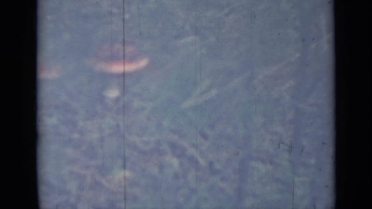 A single pink-capped mushroom appears in soft grass beside 8mm frame edges.