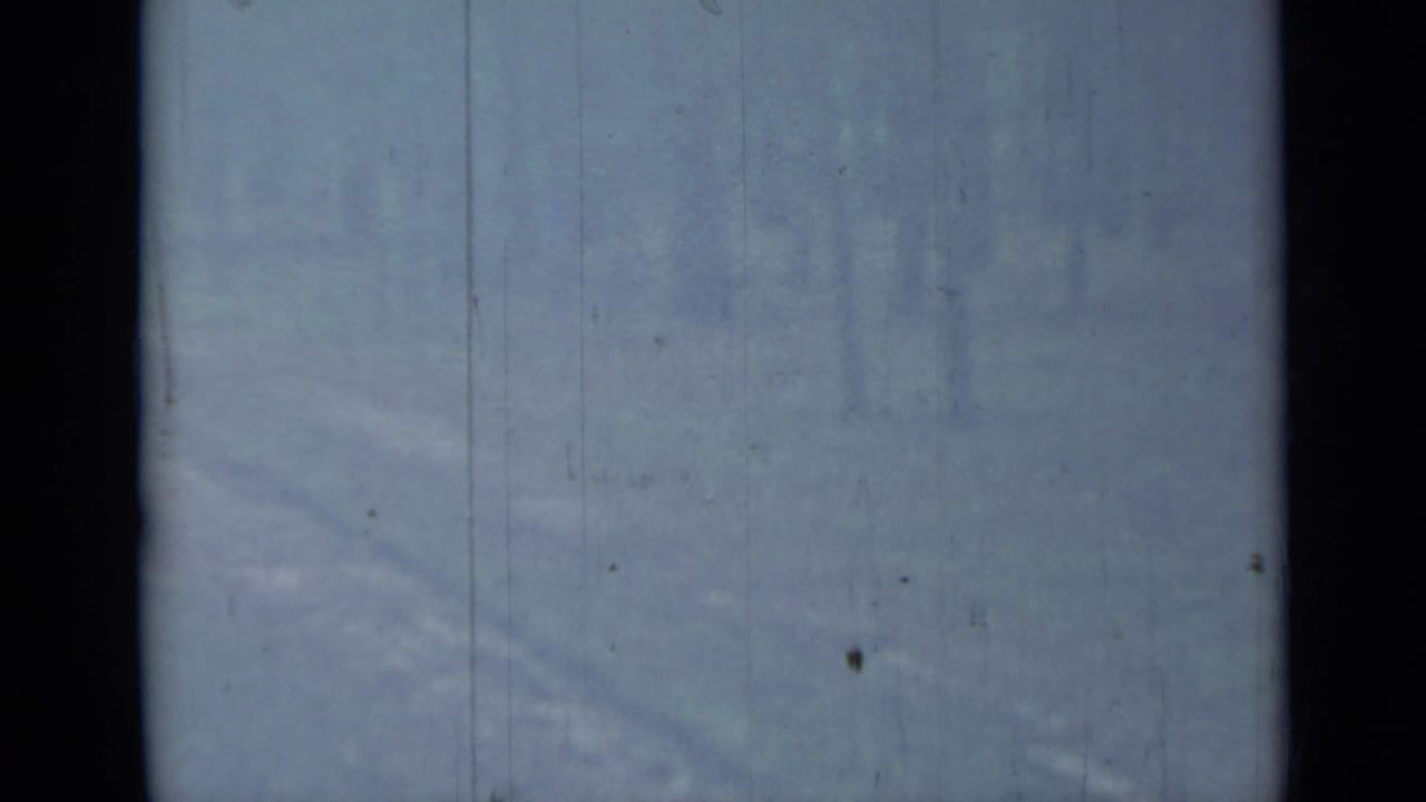 1967 8mm home-movie frame from Saint Petersburg showing a snowy wooded area with dark trunks and heavy film wear.